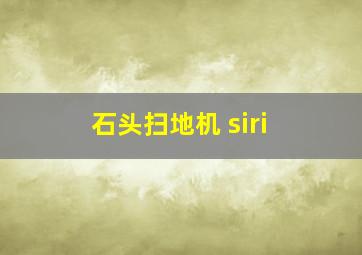 石头扫地机 siri